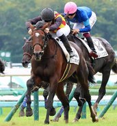 ルメール騎手「走りにくい」「内側が…」スプリンターズＳ当日の中山競馬場の芝は力を要する傾向