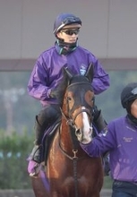 【朝日杯ＦＳ】無傷２連勝中のアドマイヤクワッズが前走後に見せた進化とは　陣営「今は成長しているんでしょうね」