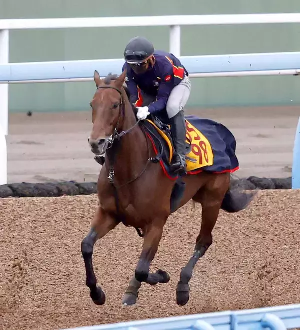 【ターコイズＳ】「追えなかった」ルメール騎手の１番人気ウンブライルは重賞１２度目挑戦もまさかの大敗