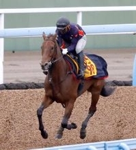 【ターコイズＳ】１番人気ウンブライルは重賞１２度目挑戦もまさかの大敗　３連単は１４万３３６０円の好配当に