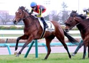 【中山８Ｒ・４歳上１勝クラス】「今年もよろしくお願いします」ルメール騎手が初勝利　１番人気クライスレリアーナでＶ