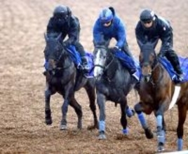 【中山記念・データ埋蔵金】前走Ｇ１組か前走連対組か？　過去１０年のデータから推せる２頭で馬券は攻めたい