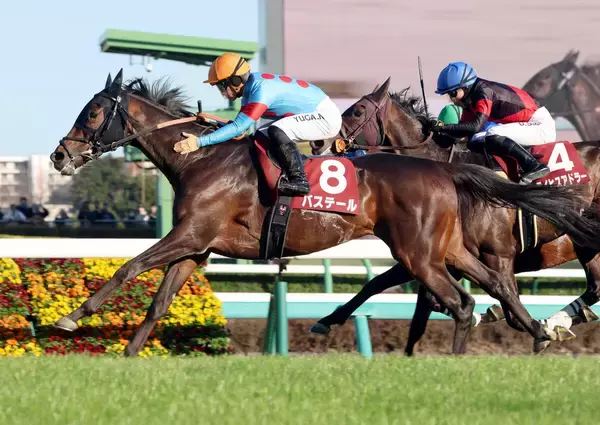 報知杯弥生賞制覇のバステール、川田将雅騎手は４コーナーで外側に斜行した件で過怠金