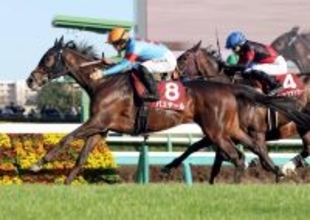 報知杯弥生賞制覇のバステール、川田将雅騎手は４コーナーで外側に斜行した件で過怠金