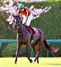 Ｇ１馬がまさかの最下位撃沈にファン沈痛「心配やな」「何起きた？」　阪神牝馬Ｓで大敗のアスコリピチェーノ