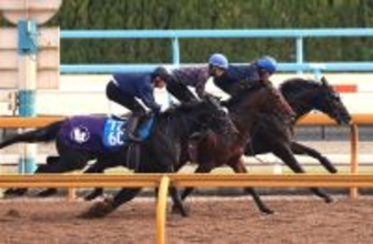 【天皇賞・春・１週前】クロワデュノールはＧ１連勝へ気合注入デモ　斉藤崇調教師「これで上がってくると思います」