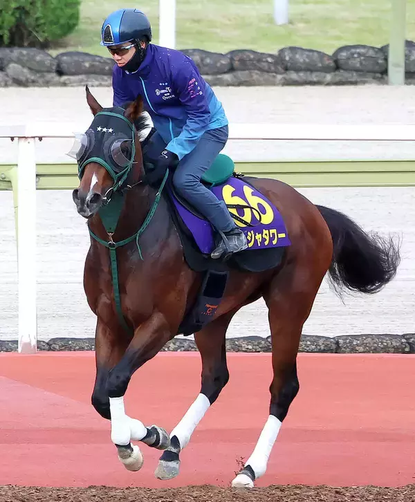 【Ｇ１・１週前まとめ】パンジャタワーの橋口調教師「すごくいい状態で帰ってきたし、動きも良かった」　安田記念