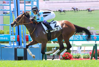 【函館５Ｒ・新馬戦】武豊騎手通算４９９６勝「乗っているだけでした」　シグレ圧巻デビュー　６馬身差逃げ切る　