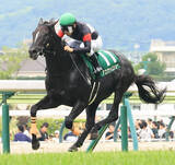 「【注目馬動向】七夕賞で重賞初制覇のアスクナイスショーはオールカマーを視野」の画像1