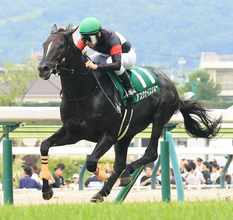 【注目馬動向】七夕賞で重賞初制覇のアスクナイスショーはオールカマーを視野