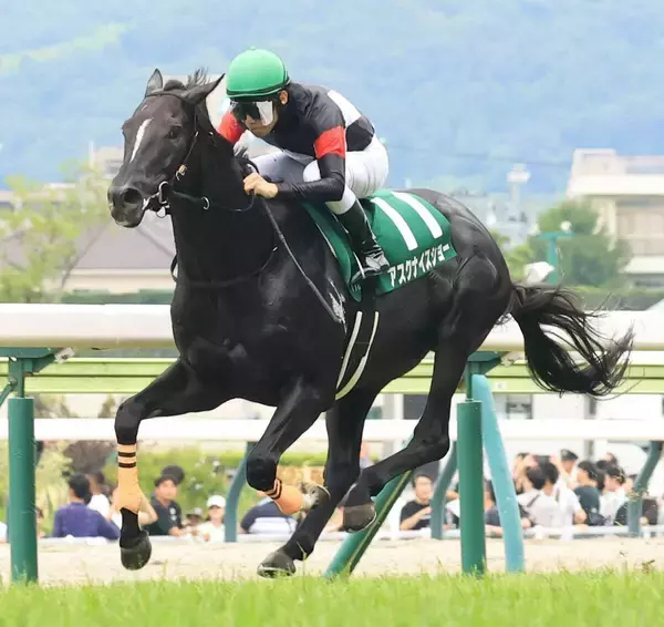 【注目馬動向】七夕賞で重賞初制覇のアスクナイスショーはオールカマーを視野