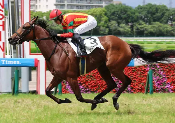 【長久手特別・松ケ下の特注馬】新馬戦で注目馬トミーバローズを撃破　３歳牝馬アーリーハーベストに期待