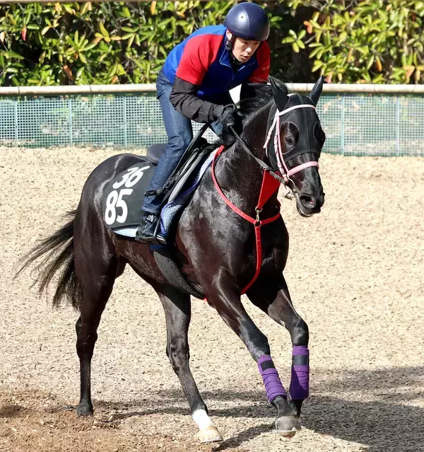 「九州産の星」ヨカヨカの初子ヨカオウが香港へ電撃移籍！　先月３０日に競走馬登録は抹消　九州の魂が海を渡る