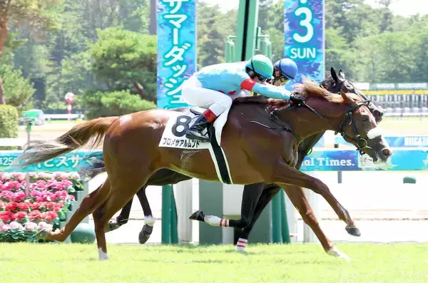 【注目馬動向】名牝アーモンドアイの２番子、プロメサアルムンドが美浦に帰厩　２度の手術を乗り越えて復帰へ