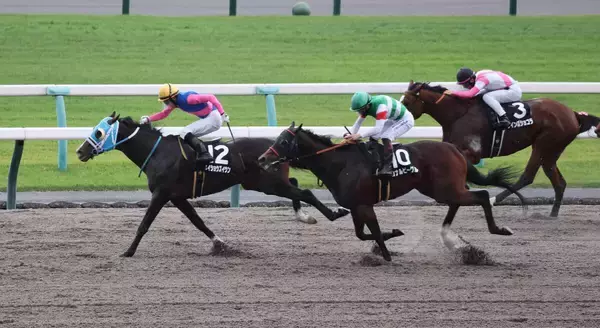 【京都１０Ｒ・カノープスＳ】１２番人気のメイショウズイウンが豪快に差し切る　幸英明騎手「能力がある」