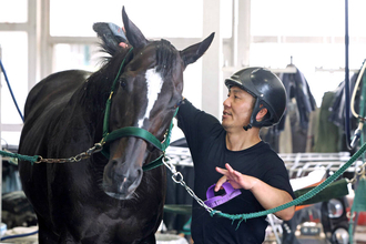 【天皇賞秋・金曜気配】セイウンハーデス有終Ｖへ　気配も橋口調教師のトーンも上向き　「奇跡が起きるかなと思っています」