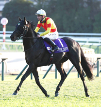 【ジャパンＣ】ジャスティンパレスは２年連続５着　ゴール前で伸びるもＣデムーロ騎手「少しずぶさがありました」