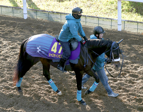 【ホープフルＳ】ジャスティンビスタで吉岡厩舎が２歳Ｇ１連勝へ　陣営「どんな競馬でもできそう」