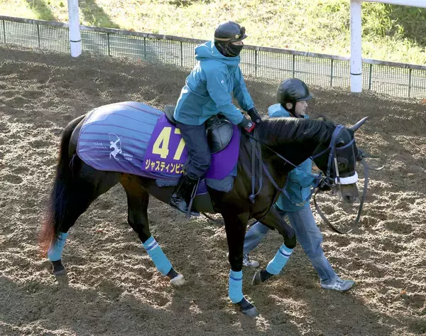【ホープフルＳ】ジャスティンビスタで吉岡厩舎が２歳Ｇ１連勝へ　陣営「どんな競馬でもできそう」