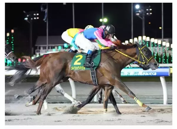 【コラム継承・メイショウハリオ】「危ないっ！」スタートでアクシデントも直線でごぼう抜き！フェブラリーＳでとりこに