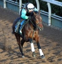 【京都金杯】Ｇ３なら力上位キープカルムが好枠から抜け出し狙う　中竹調教師「スタートを出てくれたらいいね」