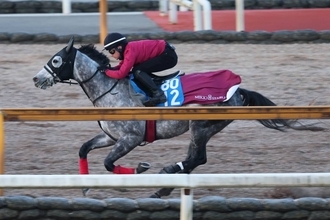 【日経新春杯】ヤマニンブークリエは横山典弘騎手でサウジ遠征へ　壮行Ｖへ松永幹調教師「雰囲気はいいと思う」