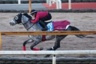 【日経新春杯】ヤマニンブークリエは横山典弘騎手でサウジ遠征へ　壮行Ｖへ松永幹調教師「雰囲気はいいと思う」