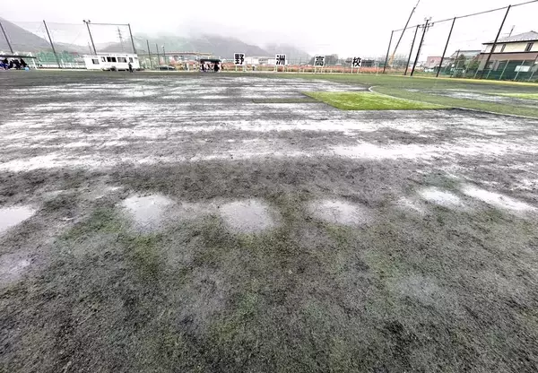 第84回選手権Ｖの野洲がクラウドファンディング開始　人工芝グラウンドの全面改修へ、目標は１億円