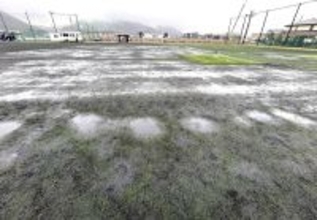 第84回選手権Ｖの野洲がクラウドファンディング開始　人工芝グラウンドの全面改修へ、目標は１億円