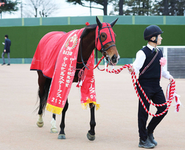 珍名馬の引退に知らんぷりできずネット大喜利状態「たぶんＧ１取れた…」「子はシットルデに」　中山牝馬Ｓ制覇のシランケド