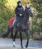 「【青葉賞】５・２億円馬のサガルマータは６着　ダービー出走権に届かずも横山武史騎手は「これからが楽しみです」」の画像1