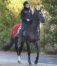 【青葉賞】５・２億円馬のサガルマータは６着　ダービー出走権に届かずも横山武史騎手は「これからが楽しみです」