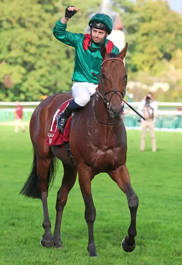 【仏Ｇ１・ガネー賞】昨年の凱旋門賞馬ダリズが２６年Ｖ発進　ブックメーカーのオッズで今年の１番人気に浮上
