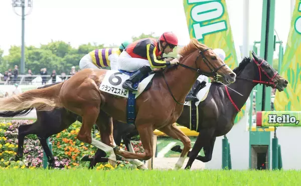 【ＰＯＧ】超良血馬グランマエストロは続戦で５・９東京へ　サンデーサラブレッドクラブが発表