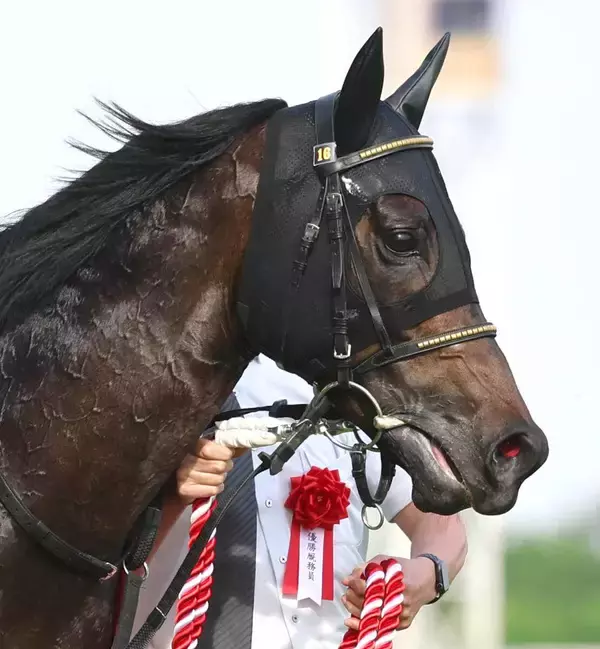 【注目馬動向】京王杯ＳＣを勝ったワールズエンドは安田記念が目標