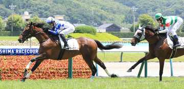 「ほんと呆れる」「来年種付けえぐい」早くも５勝目のエフフォーリア産駒にネット仰天　福島でスタースポットが勝利