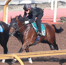 【今週のトク注新馬】ダノンデサイル半弟ダノンチャンピオンが横山武史騎手で２６日中京デビュー　安田調教師「大人びています」