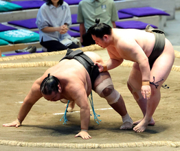 幕下・三田が６勝１敗で終える　幕下優勝の可能性残すも、単独トップの同部屋の生田目が「明日勝って決めてくれると思う」