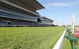 「土曜新潟競馬場の注目激走馬…新潟７Ｒ新潟日報賞」の画像1