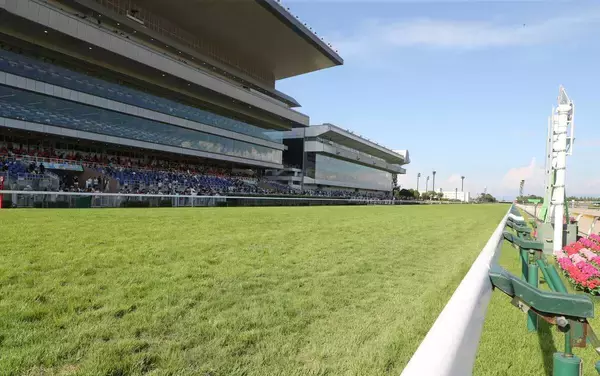 土曜新潟競馬場の注目激走馬…新潟７Ｒ新潟日報賞