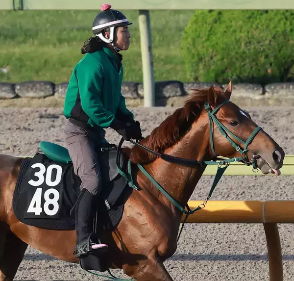 【１５日の注目・札幌１２Ｒ】“あっくん”アーレムアレスとミッキーファルコンの３歳素質馬対決