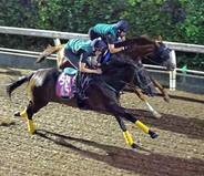 【紫苑Ｓ】オークス４着リアライズルミナスが坂路で力強い動き　気になる喉の状態は橋口調教師「息づかいも...」