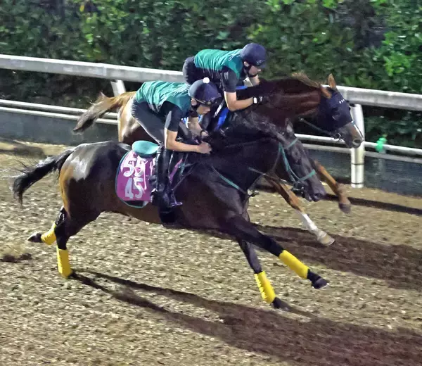 【紫苑Ｓ】オークス４着リアライズルミナスが坂路で力強い動き　気になる喉の状態は橋口調教師「息づかいも...」