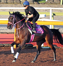 【ローズＳ】骨折明けでも１週前追い切りで猛時計　タイセイボーグが再び頂点目指す