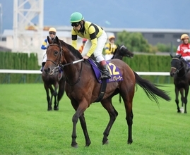 【菊花賞・各陣営コメント】田辺裕信騎手「ここがメイチ」１４番人気サノノグレーターが究極仕上げで４着激走！