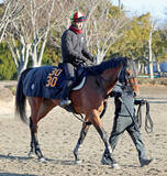 「【京成杯】絶好調男で巻き返し！「ジョッキーの運に…」アメテュストスの加藤士調教師は津村明秀騎手に託す」の画像1