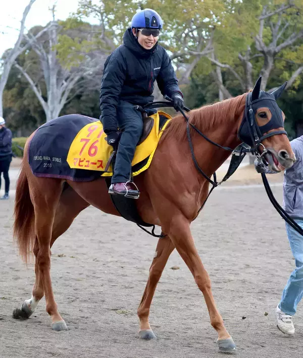 【根岸Ｓ】マピュース「ダートは合うと思う」田辺裕信騎手は期待　２頭併せで馬なり併入　時計も上々