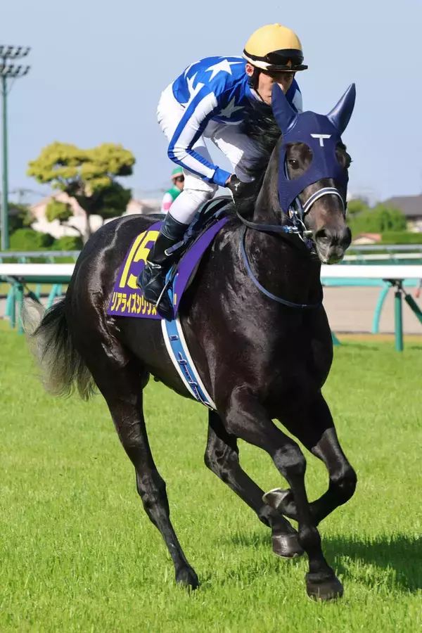 【皐月賞】４番人気リアライズシリウスは２着　あと一歩のところで勝利を逃した津村明秀騎手「負かしにいく競馬をして...」