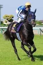 【皐月賞】４番人気のリアライズシリウスは２着　津村明秀騎手は同レース４度目挑戦も初勝利ならず