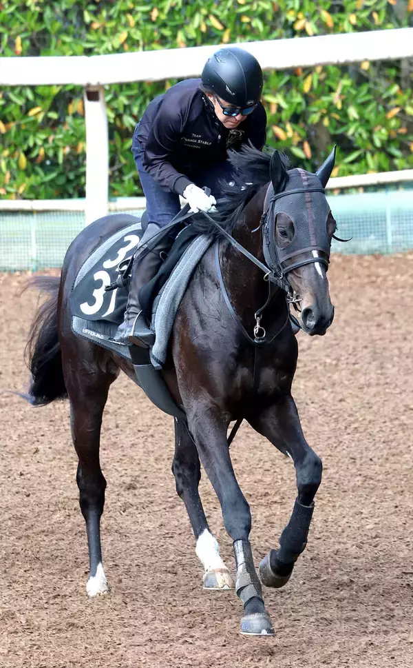 【青葉賞】５・２億円馬サガルマータが抽選突破　日本ダービー切符目指す